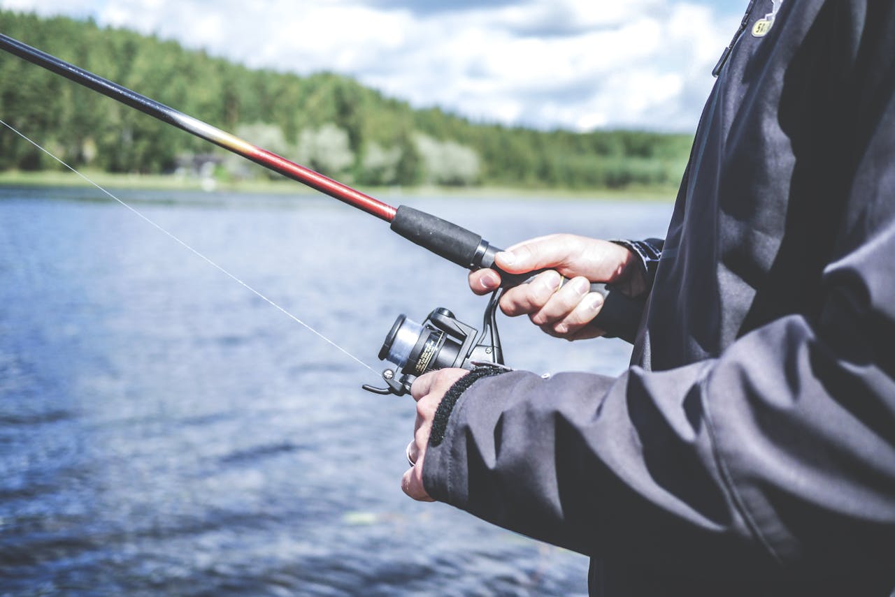 Ontdek de wereld van pesca Rotterdam: vissen tussen stad en haven