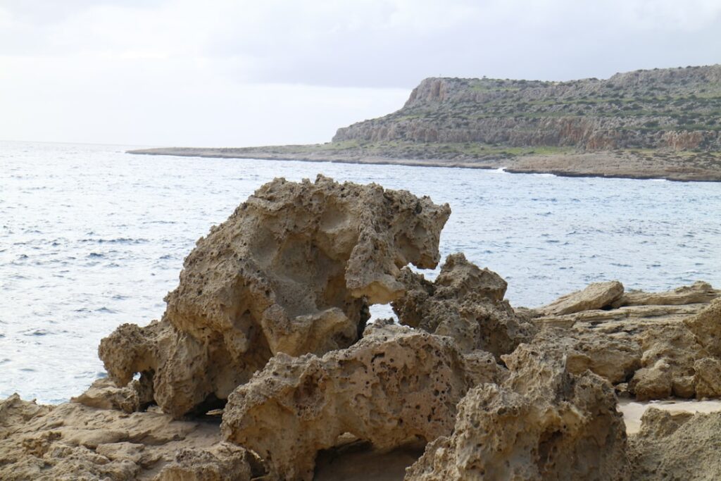 Relaxen en genieten in een mediterrane tuin: droom je eigen stukje Zuid-Europa