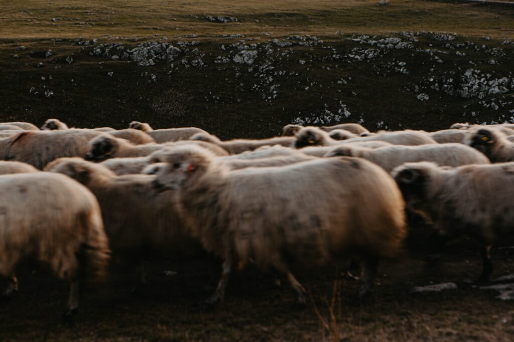 Zo maak je zelf een cinewall met haard voor een modern huis